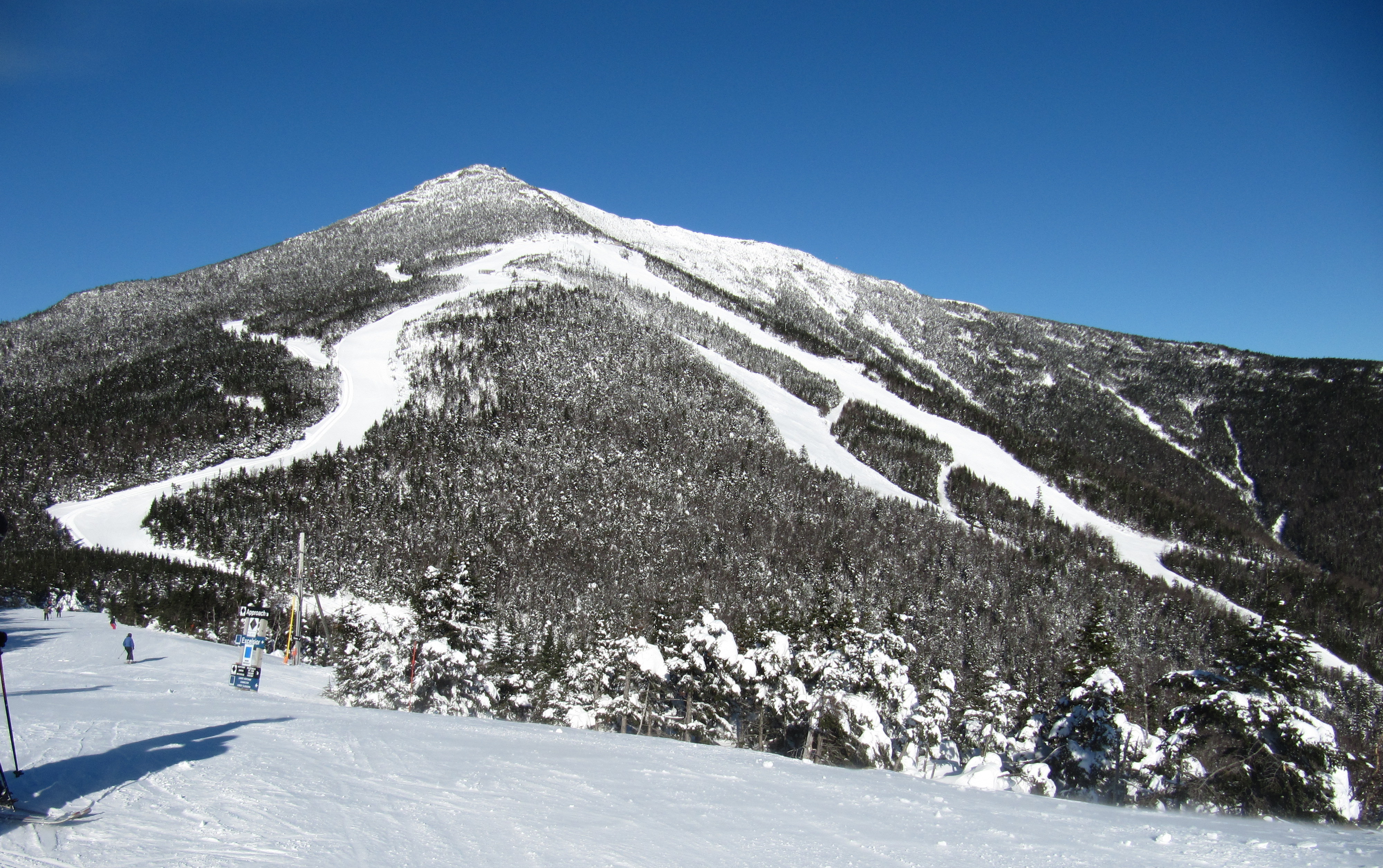 Whiteface