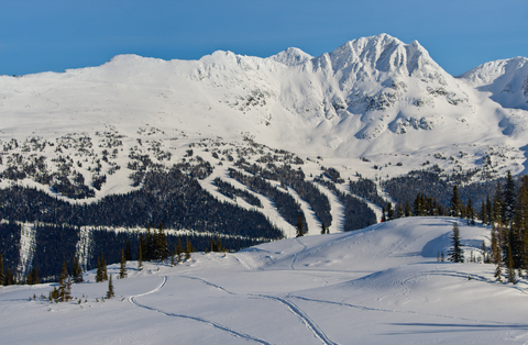 Whistler